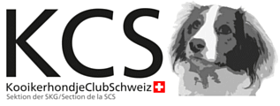 Kooikerhondje Club Schweiz