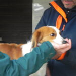 Ankörung Februar 2024